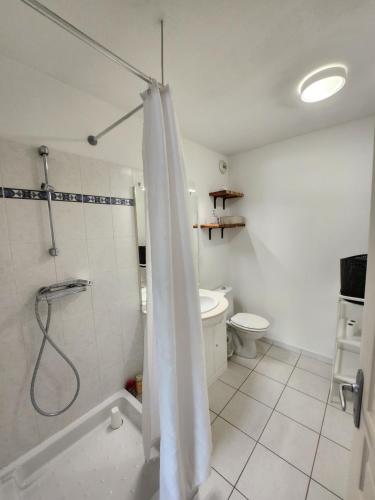 une salle de bain avec douche et toilettes dans l'établissement appartement terrasse Montpellier, à Montpellier