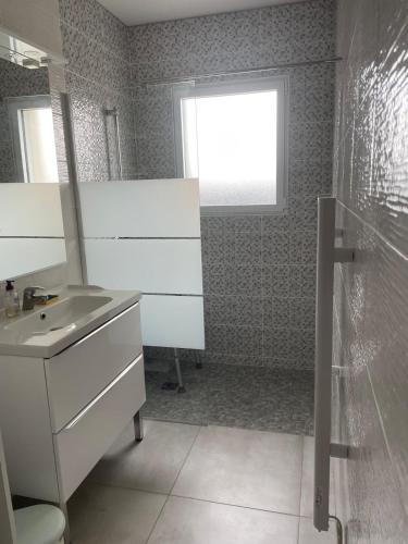 La salle de bains est pourvue d'un lavabo, d'une douche et d'une fenêtre. dans l'établissement Appartement 48m2 jardin et terrasse, à La Roche-Blanche