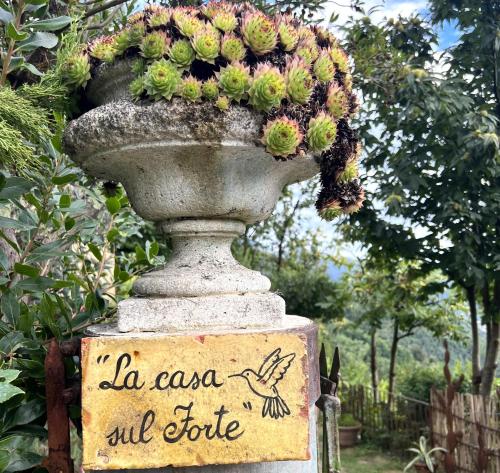 a vase filled with cactuses on top of a sign at La Casa sul Forte in Seravezza
