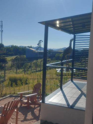 a bird standing on a porch with two chairs at ANGATU CHALÉS Bem Estar, Aconchego e Conforto in Serra Negra