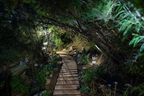 a path in a garden with a tree archway at La Casa sul Forte in Seravezza