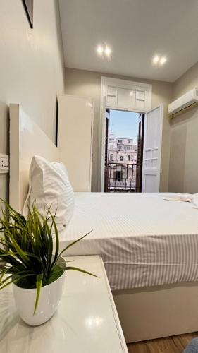 a bedroom with a bed and a plant on a table at charming studio in Cairo