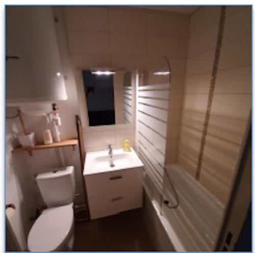 un bagno con wc, lavandino e doccia di Studio pied des pistes - Bernex a Bernex