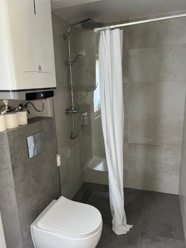 a bathroom with a white toilet and a shower at Sudecki Domek in Kudowa-Zdrój