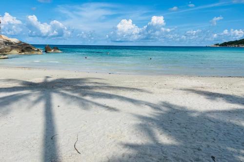 a shadow of a palm tree on a beach at Sea U House in Haad Rin