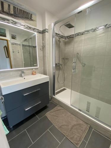 une salle de bain avec une douche et un lavabo et une cabine de douche en verre dans l'établissement Le Panorama clim-wifi-parking-vue mer, à La Ciotat