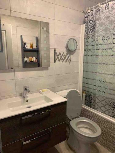 une salle de bain avec toilettes, lavabo et douche dans l'établissement Canet-en-Roussillon beach relaxation house, à Canet