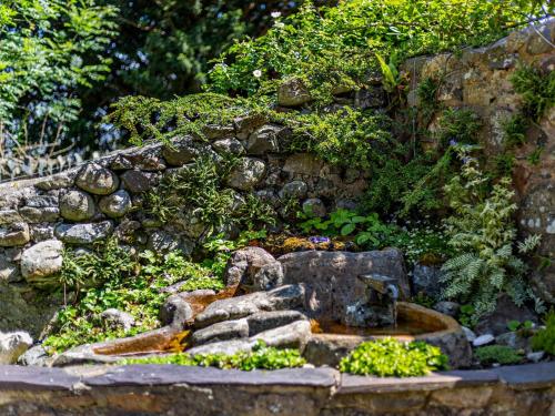 Κήπος έξω από το 2 Bed in Nefyn 56989
