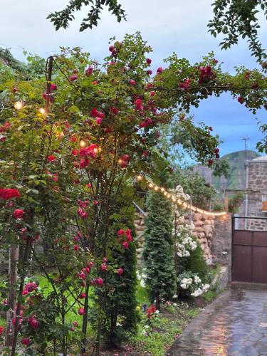 a garden with roses and a string of lights at Narek B&B in Goris