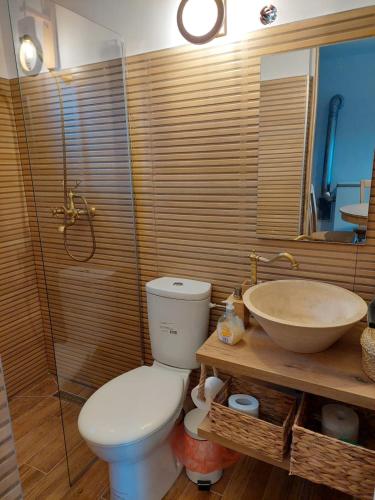 a bathroom with a toilet and a sink at Renovated traditional house - Rustic Escape in Şapartoc