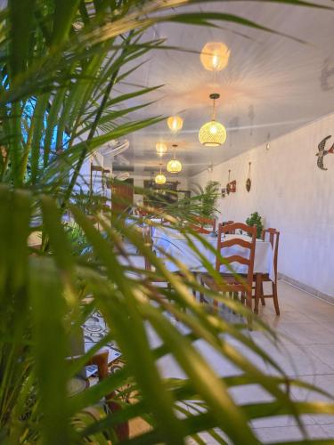 a dining room with a table and chairs and a plant at El Gran Boga in Villeta