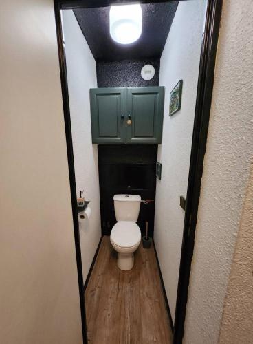 une salle de bain avec toilettes et une armoire verte dans l'établissement L'écrin de la Rosière, Résidence le Vanoise au pied des pistes, à Montvalezan