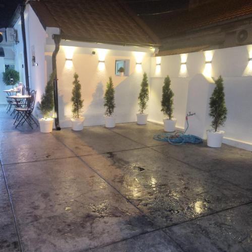 a group of potted trees in white pots on a wall at Jovanovic Residence Belgrad in Belgrade