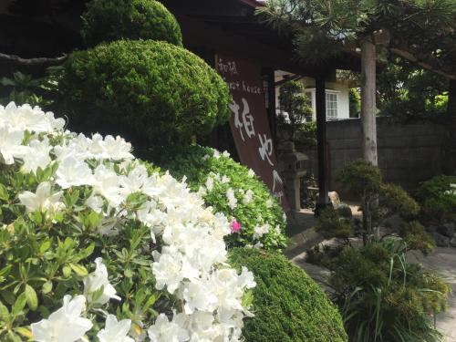 a garden of white flowers in front of a building at Wafu Guesthouse Kashiwaya in Fujikawaguchiko