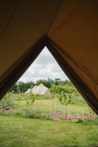 Φωτογραφία από το άλμπουμ του Eco Farm Camping 'de Waeldernis' σε De Waal