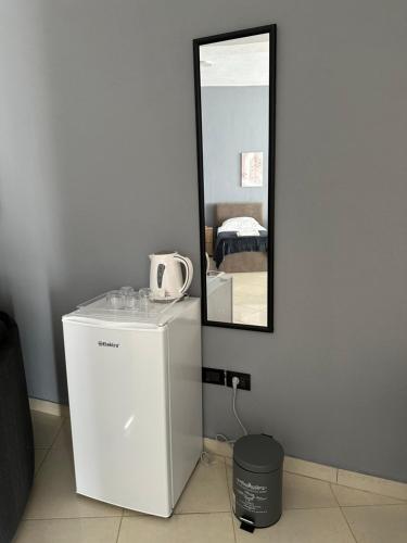 a mirror on a wall next to a small refrigerator at Freske Rooms in Krujë