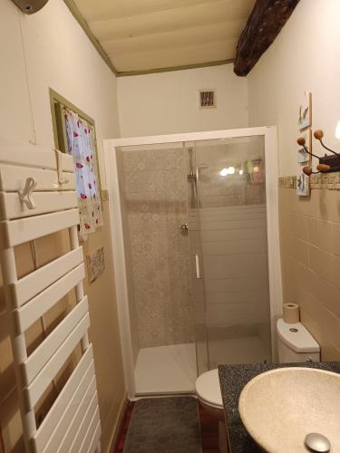 une salle de bain avec une douche, un lavabo et des toilettes dans l'établissement La maison Chabert, à Ailhon