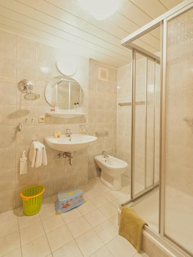 un bagno con doccia, lavandino e WC di Ferienhof Zinn a Lauterbach