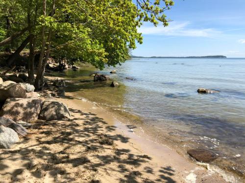 a sandy beach with trees and the water at Lieblingsplatz im Reethus in Putbus