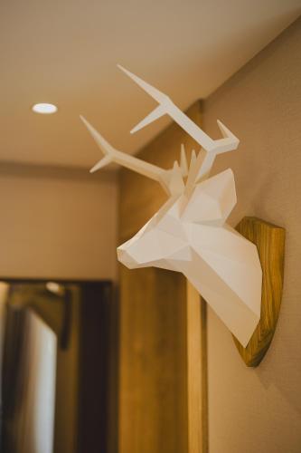 Photo de la galerie de l'établissement Hotel Rezident, à Žabljak