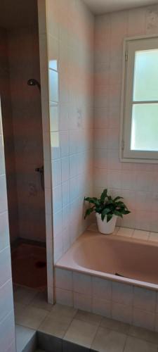 La salle de bains est pourvue d'une baignoire avec une plante. dans l'établissement Chez Jean Michel, à La Celle-sous-Gouzon