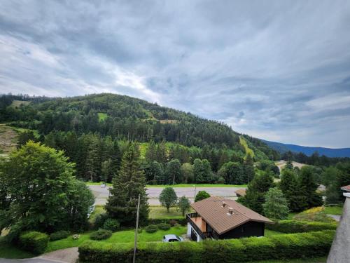 ラ・ブレスにあるLa Bresse Nature and Glisseの木立山前家