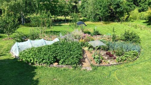 a garden with plants in a field of grass at Domaine de la cure in Curgy