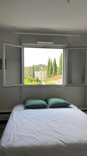un lit avec deux oreillers devant une fenêtre dans l'établissement T2 42 m2 private residence parking, au Cannet