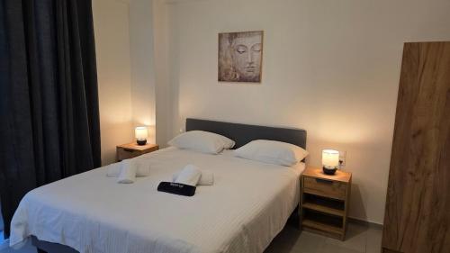Mini Suite 7