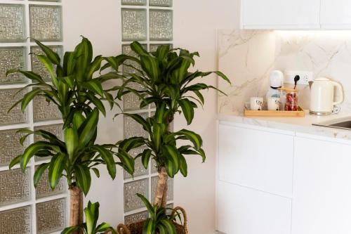 Příslušenství pro přípravu čaje a kávy v ubytování La casa de Pascasio