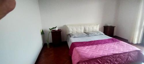 a bedroom with a bed with a pink blanket at aranceto dell'Etna in Mascali