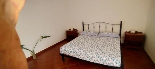 a bedroom with a bed and two night stands and a plant at aranceto dell'Etna in Mascali