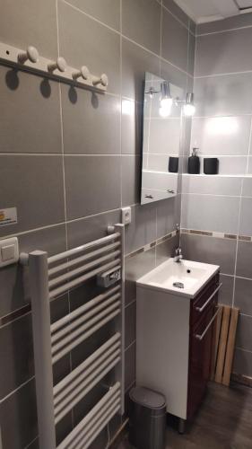 une salle de bain avec un lavabo et un miroir dans l'établissement Appartement T2 Les Capucines avec balcon, à Le Mont-Dore
