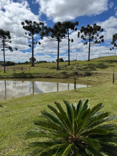Un paisaje natural cerca del lodge