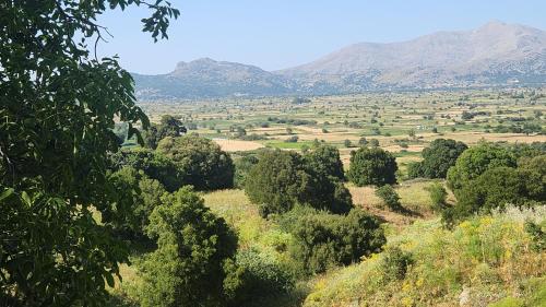 a field with trees and mountains in the background at Dionysus House Lasithi Plateau in Magoulás