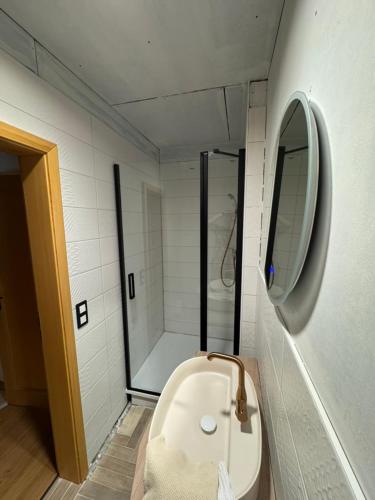 a bathroom with a shower and a tub and a sink at Hamr Divci Kamen in Křemže