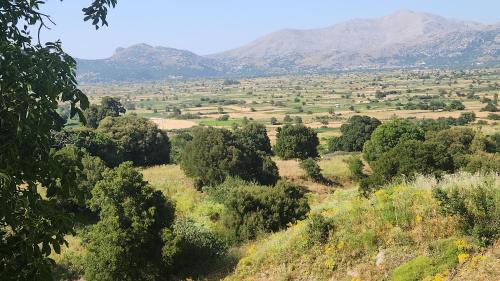 a valley with trees and mountains in the background at Dionysus House Lasithi Plateau in Magoulás
