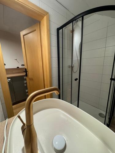 a bathroom with a sink and a shower at Hamr Divci Kamen in Křemže