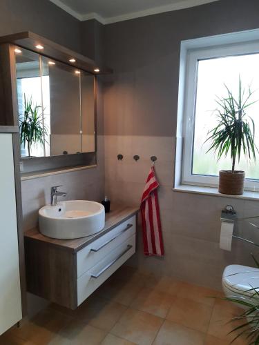 a bathroom with a sink and a mirror and a window at Ferienwohnung Flora Friesoythe in Friesoythe