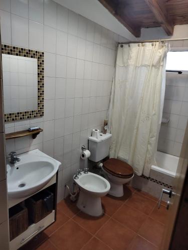 a bathroom with a toilet and a sink at La Posada de Buda in Malargüe