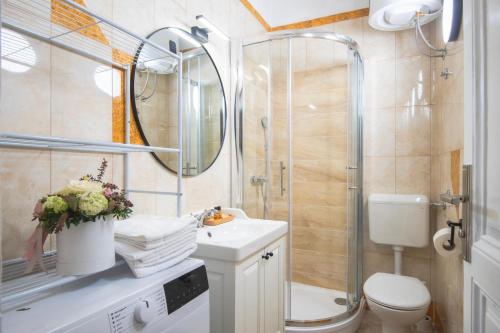 AAA Apartments & Rooms with free parking