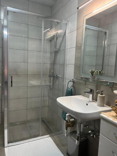a bathroom with a shower and a sink and a mirror at IL Paradiso potok akva park in Jagodina