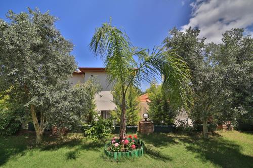 Gambar di galeri bagi Mavi Deniz Konuk Evi di Selimiye