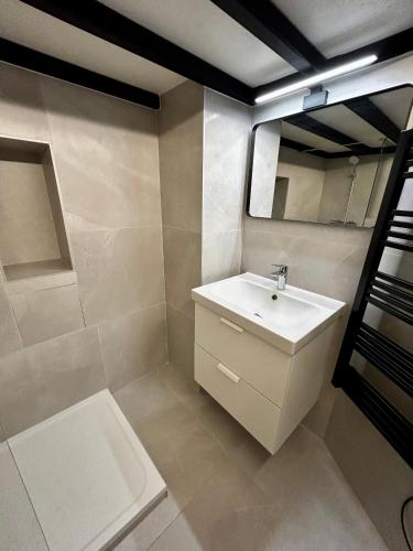 une salle de bain avec un lavabo et un miroir dans l'établissement Appartement LOFT, à Nice