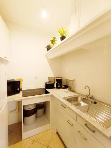 une petite cuisine avec un évier et un micro-ondes dans l'établissement Appartement Centre Ancien, à Manosque