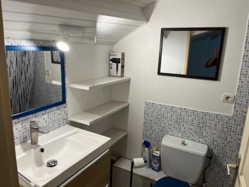a bathroom with a sink and a toilet and a mirror at La Maison du Bonheur in Le Gué-de-Velluire