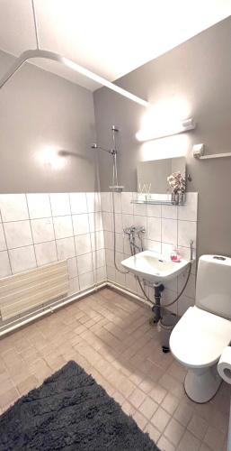 a bathroom with a toilet and a sink at Kolmio keskustasta in Ylivieska