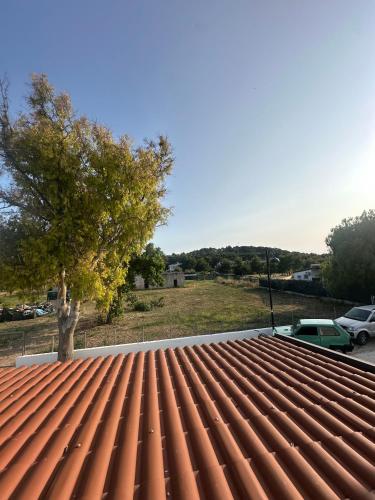 a red tile roof with a tree in a parking lot at La Nassa Rooms in San Domino