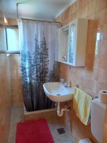 a bathroom with a sink and a shower at Summer Dream in Rovinj