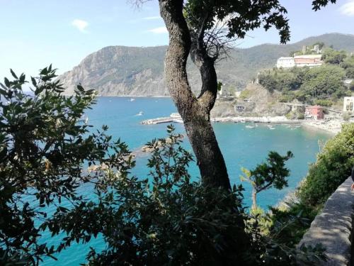 a view of a body of water with a tree at Charming apartment in Monterosso al Mare with balcony in Monterosso al Mare
